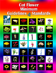 The Cut Flower Minimum Guidelines And Standards